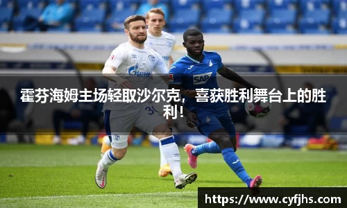 霍芬海姆主场轻取沙尔克，喜获胜利舞台上的胜利！