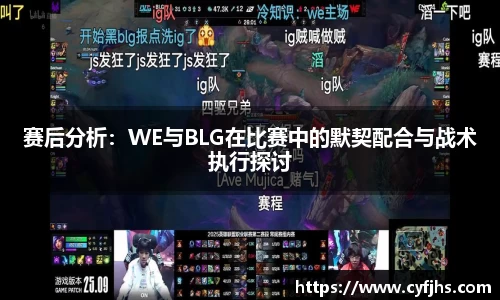 赛后分析：WE与BLG在比赛中的默契配合与战术执行探讨